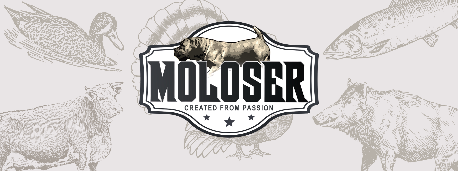 MOLOSER_STRONA GŁÓWNA