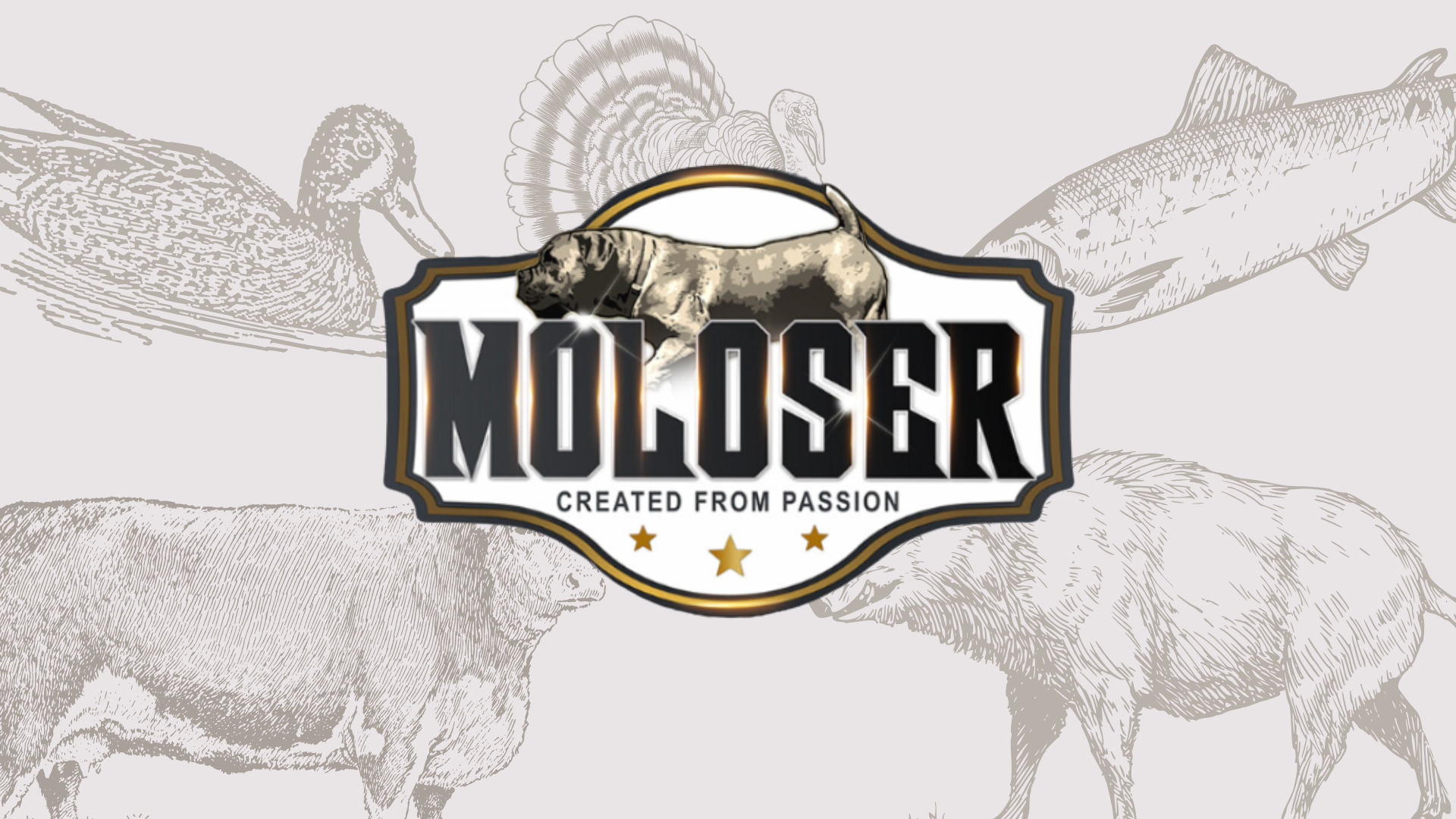 Website Launch Presentation With Mockups (1920 x 1080 px)