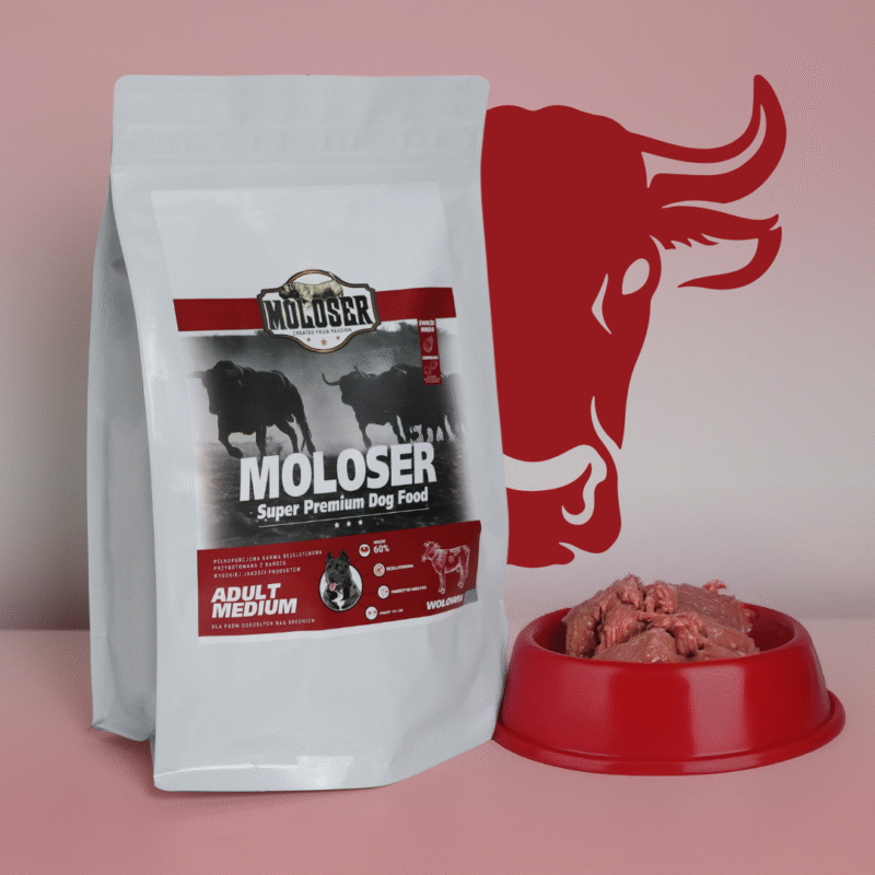 Wołowina moloser - karma