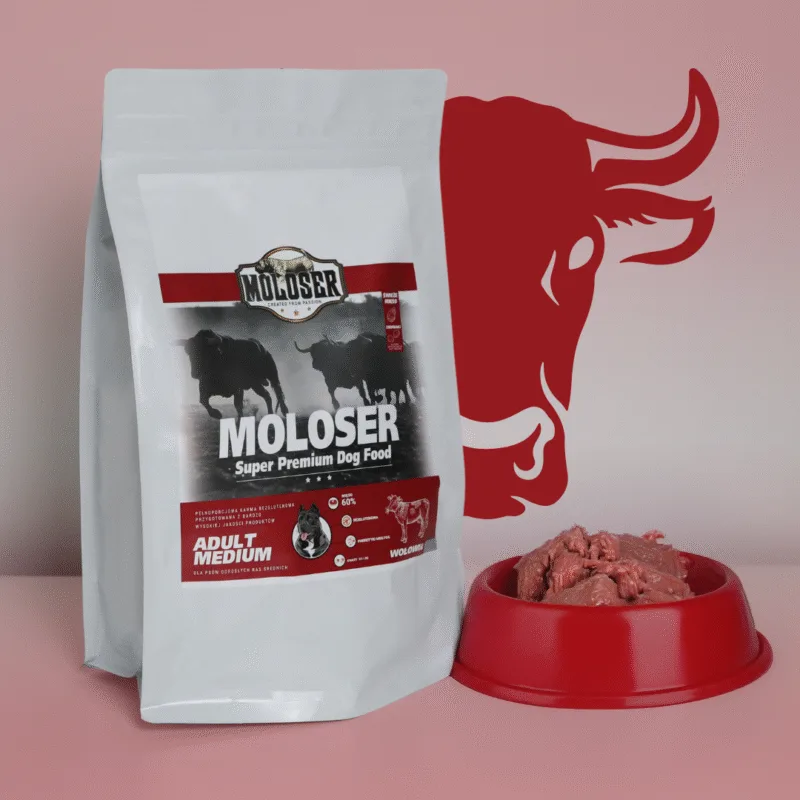Wołowina moloser - karma