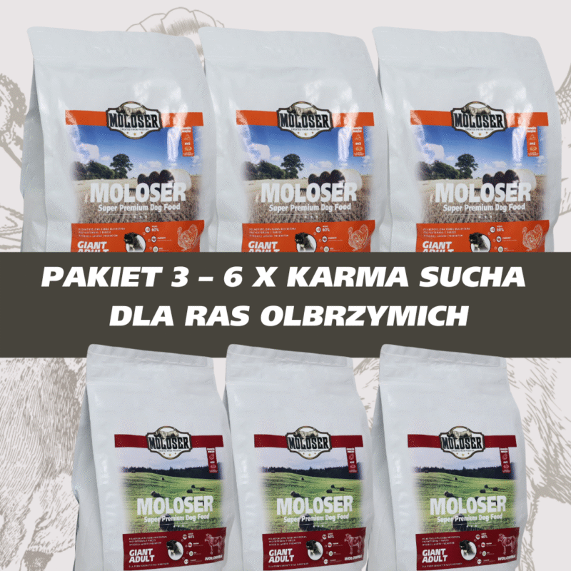 PAKIET 3 6 KARM DLA RAZ OLBRZYMICH