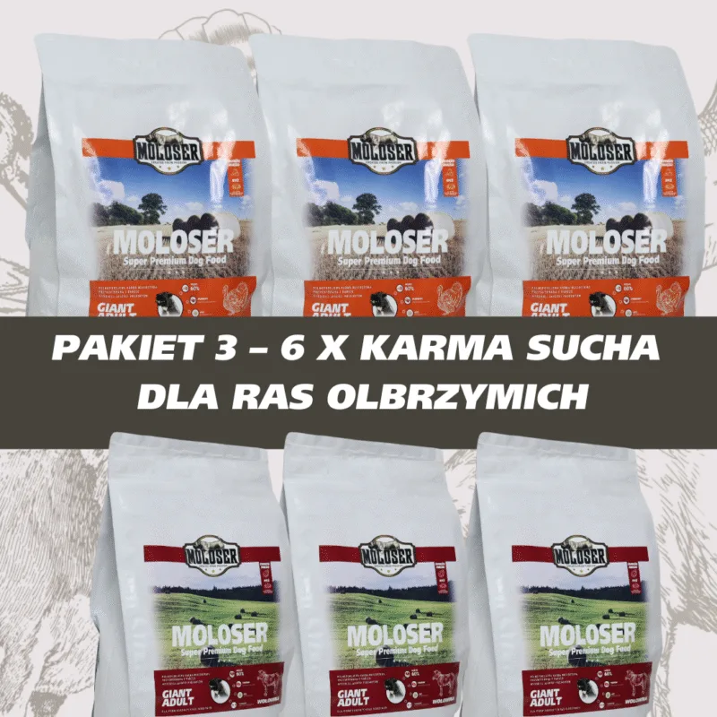 PAKIET 3 6 KARM DLA RAZ OLBRZYMICH